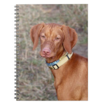 Vizsla Notebook