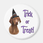 Vizsla Trick Refrigerator Magnets