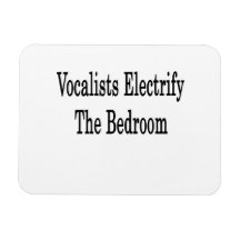 Vocalists Electrify The Bedroom Vinyl Magnets