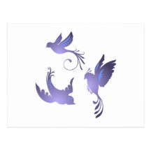 Vögel birds postkarte