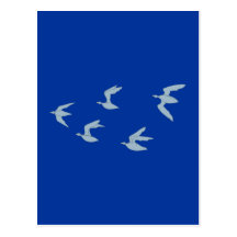 Vögel birds postkarten