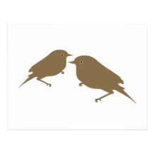 Vögel birds postkarten