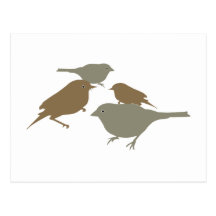 Vögel birds postkarten