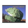 Voila! A rock became a frog. "Postcard"