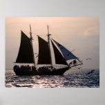 Voile de coucher du soleil posters