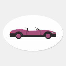 Voiture (10) autocollants ovales
