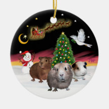 Vol de nuit - trois cobayes (Cavies) Décoration De Noël