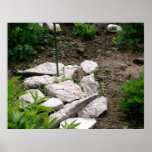 Vole Poster