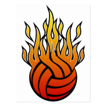 Volleyball flamboyant carte postale