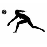 Volleyball Girl IIII t-shirts