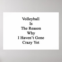 Volleyball Is The Reason Why I Haven't Gone Crazy Print