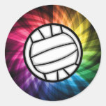 Volleyball; Spectrum Sticker