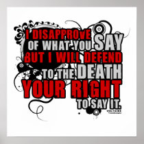 Voltaire Quote (Colour)