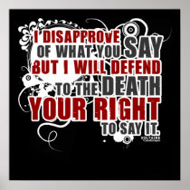Voltaire Quote (Colour)