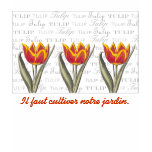 Voltaire - We Must Tend to Our Garden - Tulips t-shirts