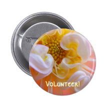 Volunteer! button Pink White Yellow Dahlia Flower