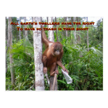 Volunteer Work for Planet Earth Post Cards