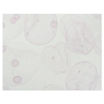 Volvox, algae letterhead design