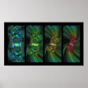 Vortices posters