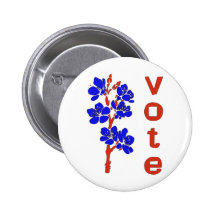 VOTE 2012 BUTTON