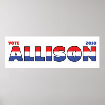 Vote Allison 2010 Elections Red White and Blue Poster