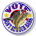 VOTE! DON'T BE A DUM BASS BUTTON