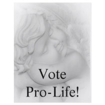 Vote Pro Life Flyer