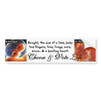Vote Pro Life: They can't protect themselves Bumper Stickers