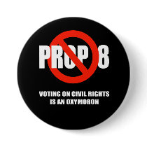 VOTING ON CIVIL RIGHTS IS AN OXYMORON BUTTONS