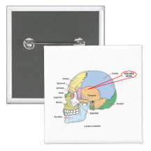 Vous êtes ici (la région temporelle de cerveau ana pin's