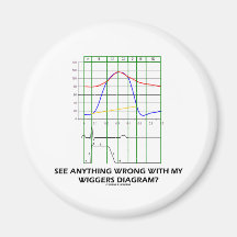 Voyez n'importe quoi mal avec mon diagramme de Wig Magnets Pour Réfrigérateur