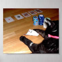 VRAI CAT DE KITTY JOUANT LA COPIE DE TISONNIER POSTERS