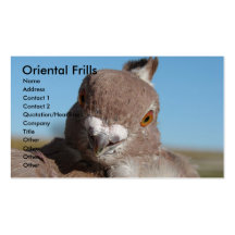 Vrilles orientales modèles de cartes de visite