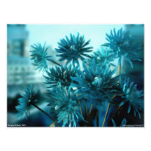Vue bleue photo sur toile