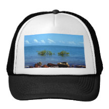 Vue Darwin de l'eau Casquettes De Camionneur
