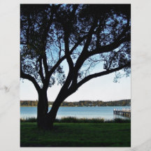 Vue de Lakeside Tract