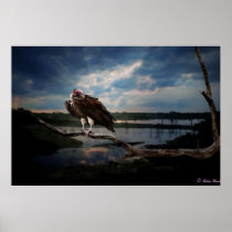 Vulture Fantasy (4 sizes) posters