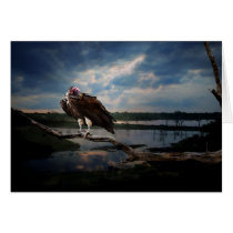 Vulture Fantasy cards