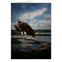 Vulture Fantasy cards