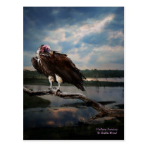 Vulture Fantasy postcards