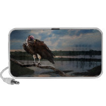 Vulture lappet faced speakers