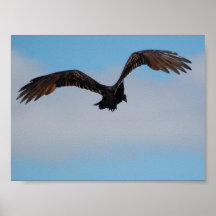 Vulture Poster
