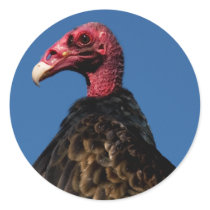 Vulture Profile Round Sticker