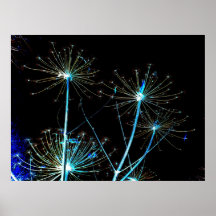 Vuurwerk boom plaat