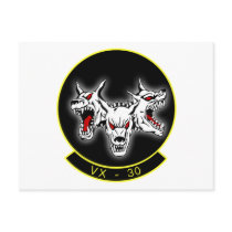 VX-30 Bloodhounds Post Cards