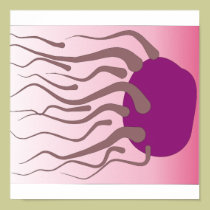 Vying for the Egg Life Creation Poster posters