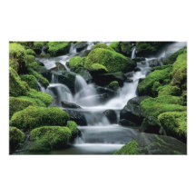 WA, Olympic NP, Sol Duc Valley, stream with Art Photo