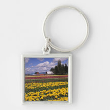 WA, Skagit Valley, Skagit Valley Tulip Key Chain