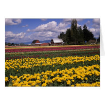 WA, vallée de Skagit, tulipe de vallée de Skagit Cartes