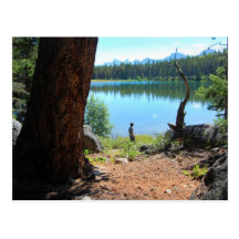 Wabasso Lake Postcard